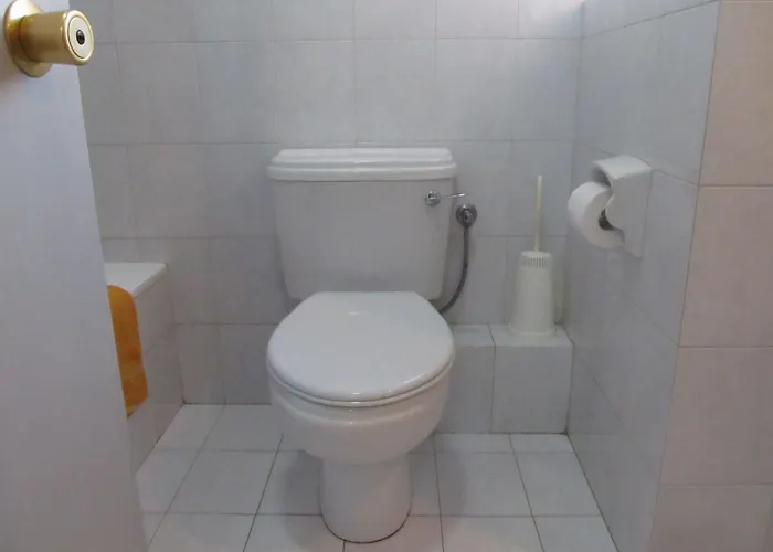 Shamrock Apartament *