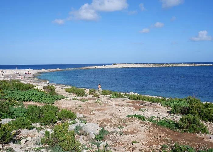 Shamrock Апартаменты