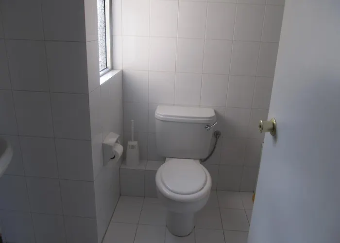 Shamrock * Буджибба